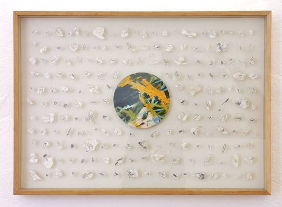 G.A.S-station, Archive II - Käthe Schönle, Insects & Offsprings, 2009