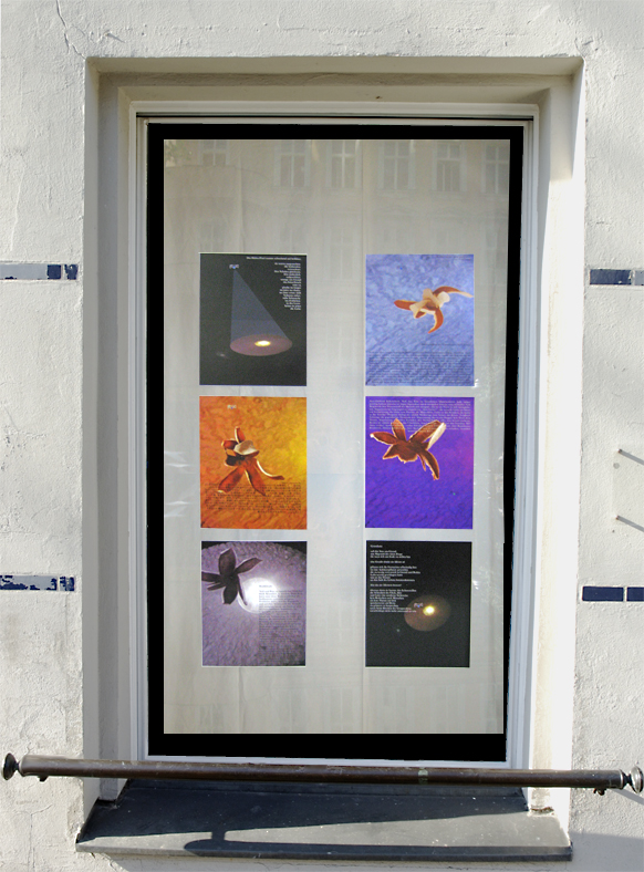 Elisa Asenbaum, SHIFT
