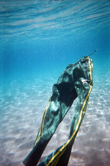 Marko Zink aus der Serie Schwimmer: sporthose, 2009, Diasec, auf Alu-Dibond und Acrylglas kaschiert, 70 x 45 cm